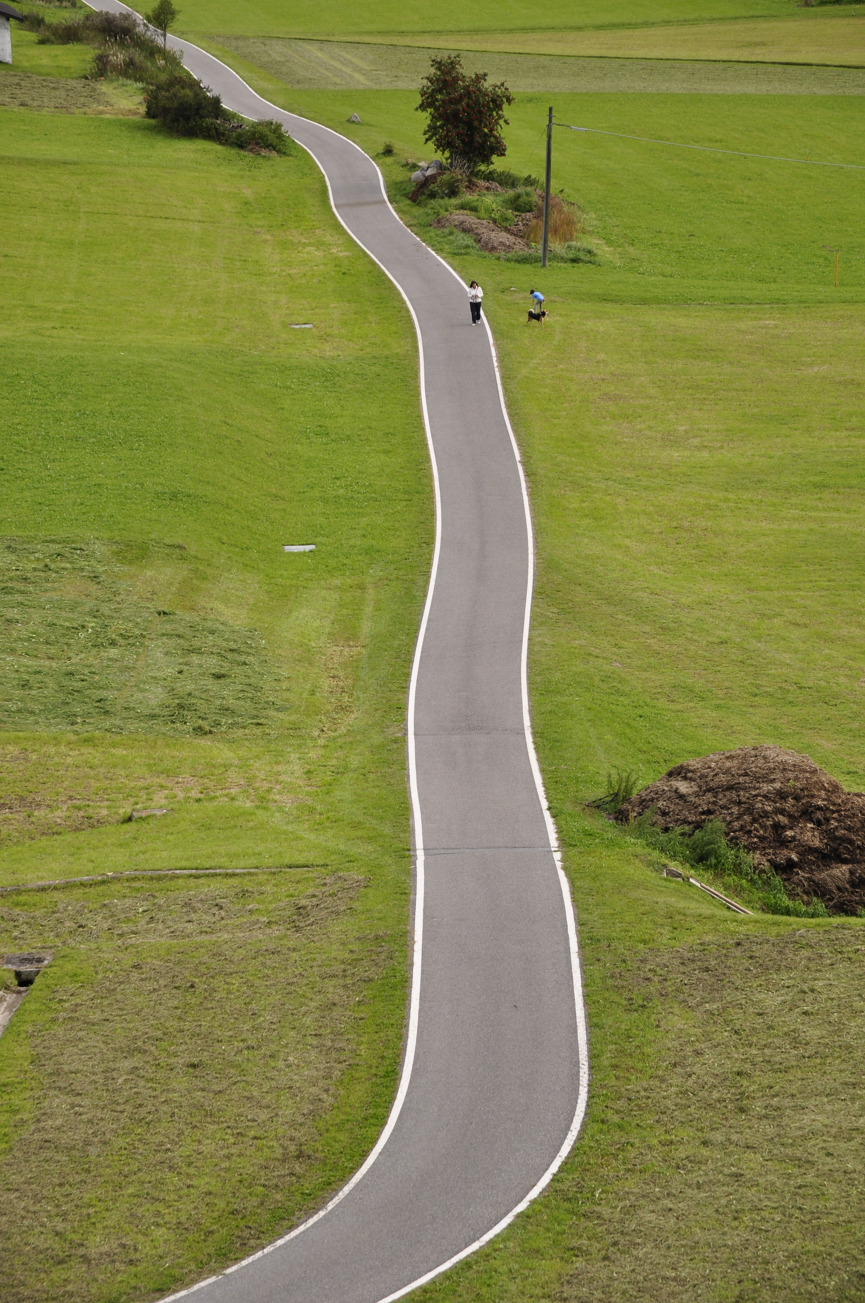 2011 Gerade Strasse